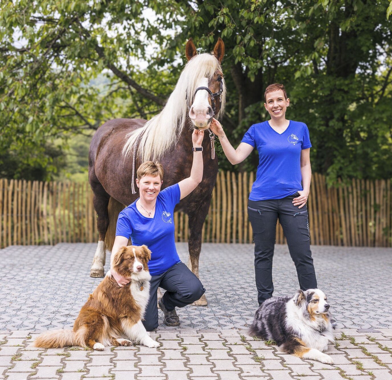 Das Team von HestaDent – Jessica Roßgardt und Karina Jung